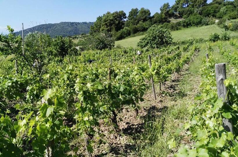 호텔 Agriturismo Masseria Tufaro