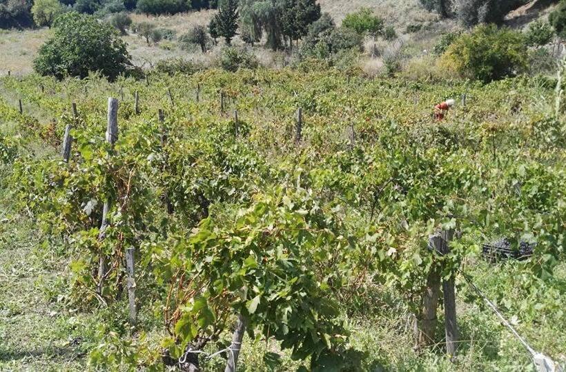 Отель Agriturismo Masseria Tufaro