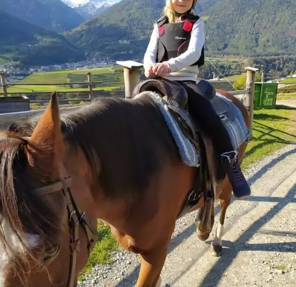 ホテル Buehlerhof Agriturismo, Obst &weingut, Urlaub Mit Hund, Pferde, Bauernhof, Brixen