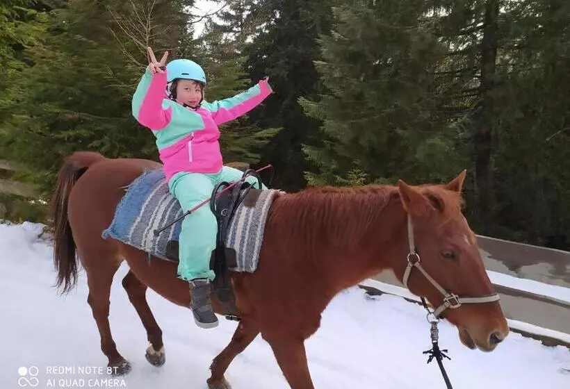 ホテル Buehlerhof Agriturismo, Obst &weingut, Urlaub Mit Hund, Pferde, Bauernhof, Brixen