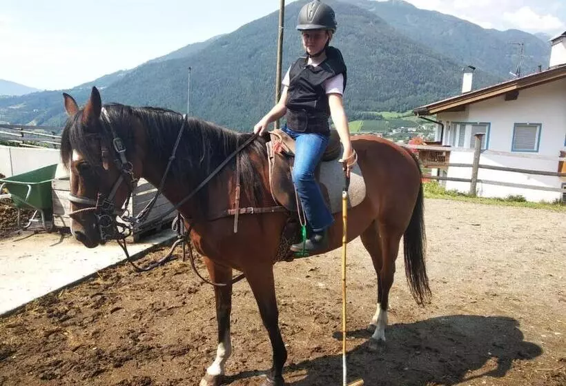 ホテル Buehlerhof Agriturismo, Obst &weingut, Urlaub Mit Hund, Pferde, Bauernhof, Brixen