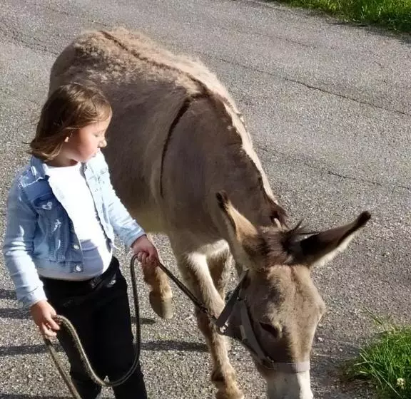 ホテル Buehlerhof Agriturismo, Obst &weingut, Urlaub Mit Hund, Pferde, Bauernhof, Brixen