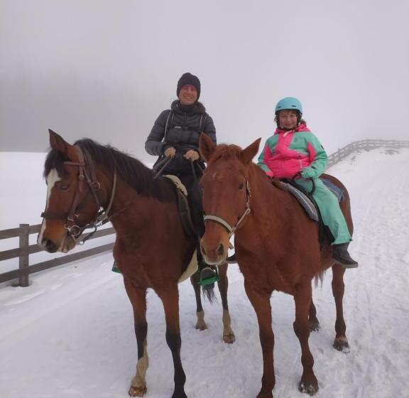 酒店 Buehlerhof Agriturismo, Obst &weingut, Urlaub Mit Hund, Pferde, Bauernhof, Brixen