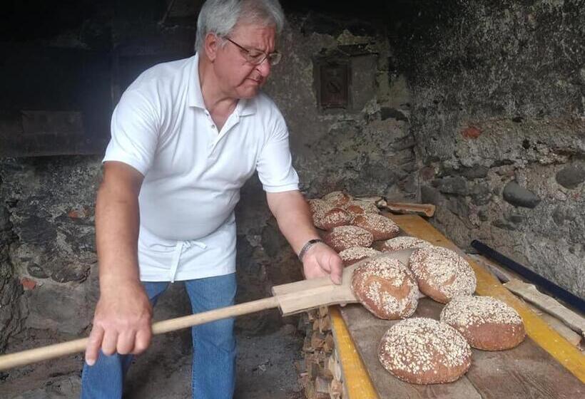 酒店 Buehlerhof Agriturismo, Obst &weingut, Urlaub Mit Hund, Pferde, Bauernhof, Brixen