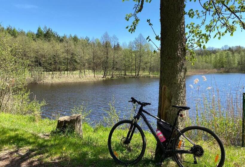 פנסיון Cedrový Penzion