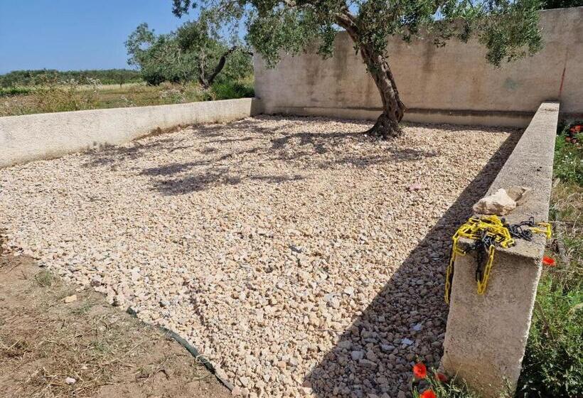 Пансион Casa Vacanze Panorama Sulle Egadi