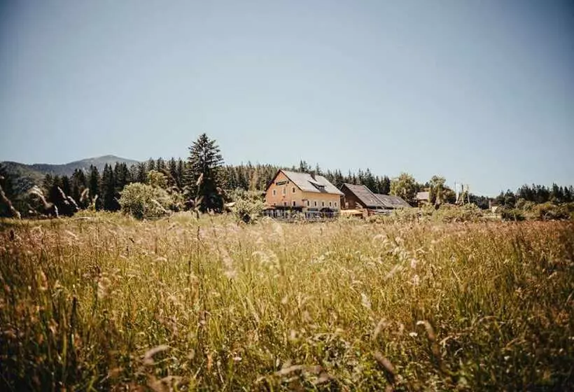 ユースホステル Gasthof Gschoadwirt