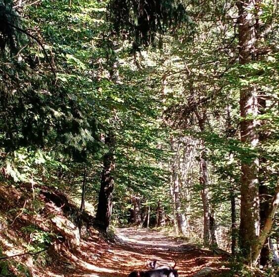 旅馆 Le Pont Du Moulin