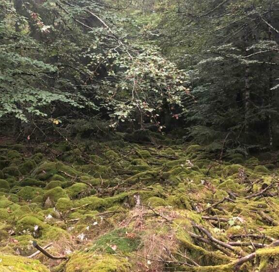 旅馆 Le Pont Du Moulin