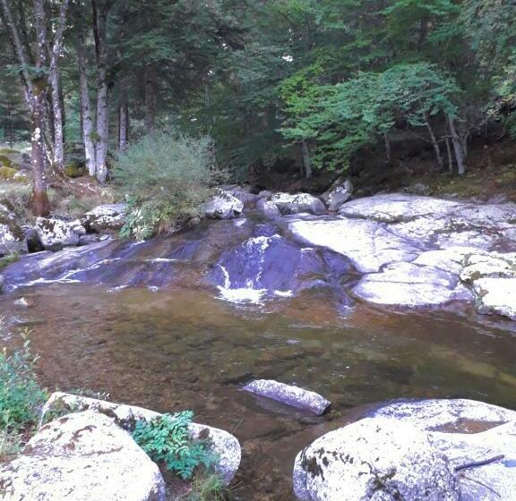 旅馆 Le Pont Du Moulin
