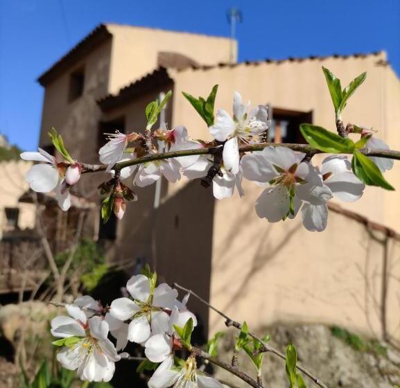 호스텔 Refugi De Muntanya Els Masets