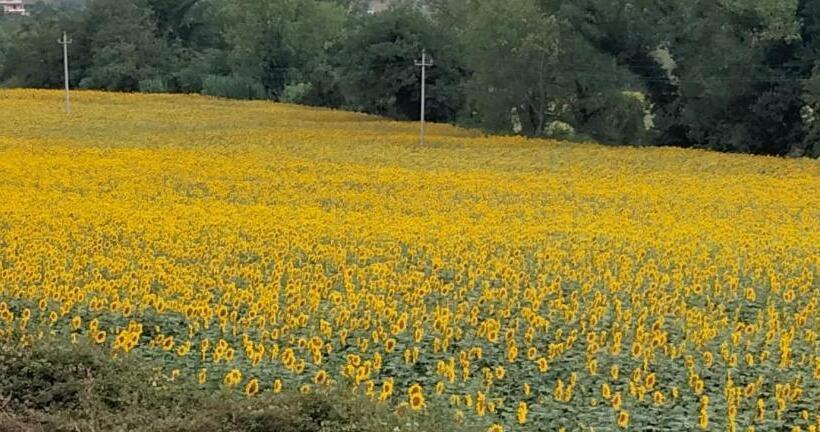 B&b La Casa Di Giuliana