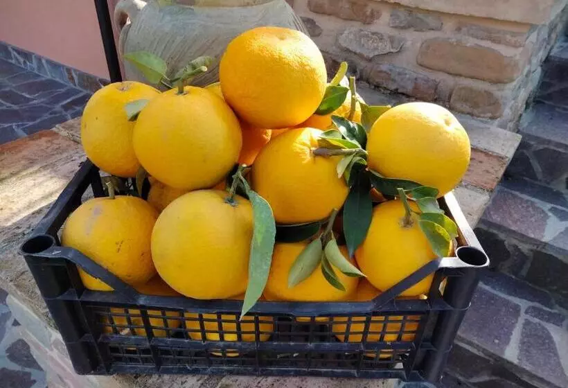 B&b La Casa Di Giuliana