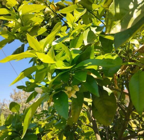B&b La Casa Di Giuliana