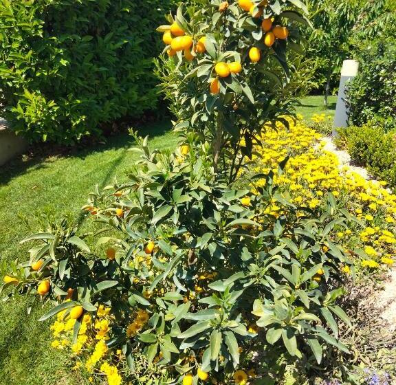 B&b La Casa Di Giuliana