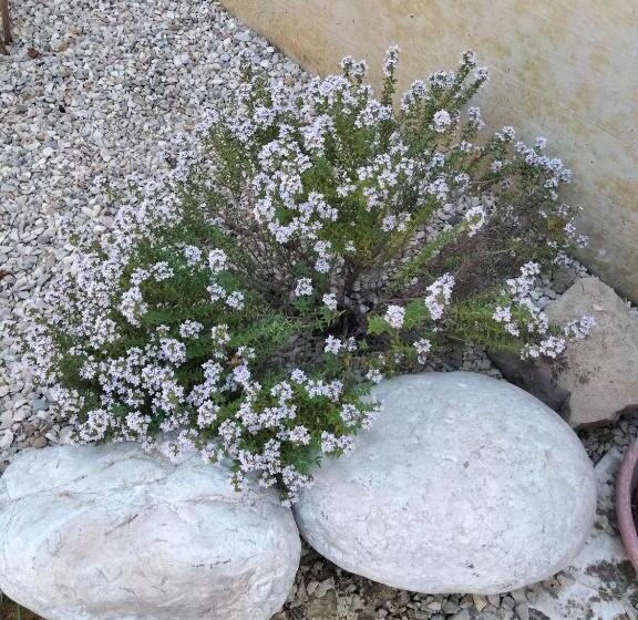 B&b La Casa Di Giuliana