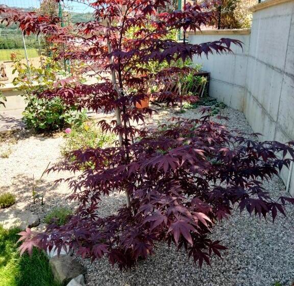 B&b La Casa Di Giuliana