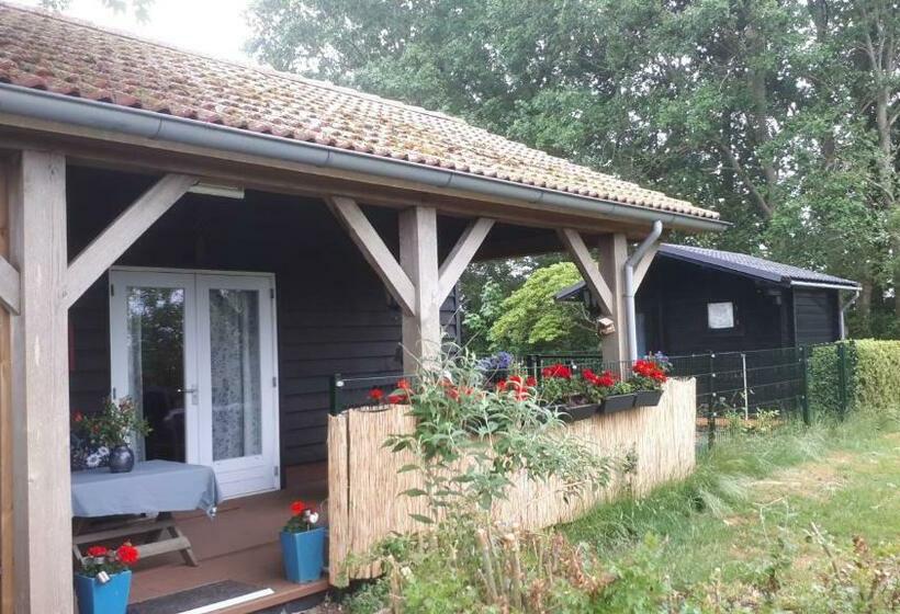 B&b T Lierderholt
