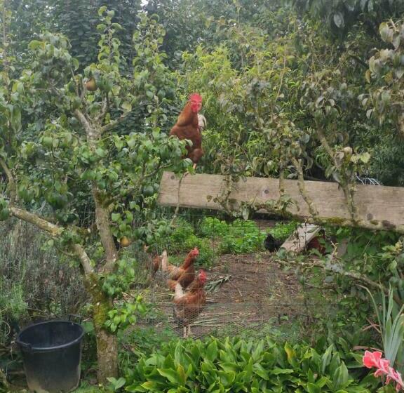 민박 Bienvenue Chez Joëlle Et André Au 207