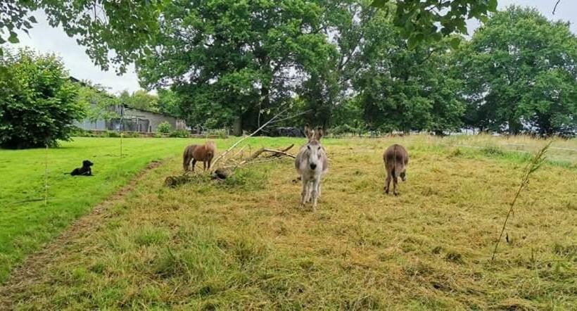 민박 Bienvenue Chez Joëlle Et André Au 207