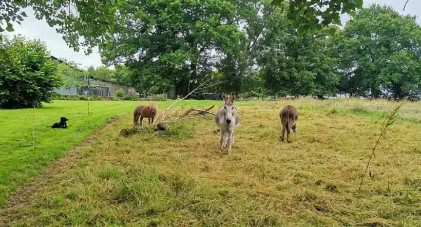 Aamiaismajoitus (B&B) Bienvenue Chez Joëlle Et André Au 207