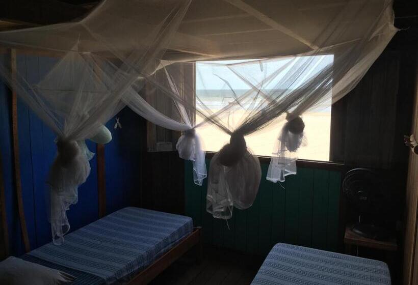 住宿加早餐  Casa Tartaruga