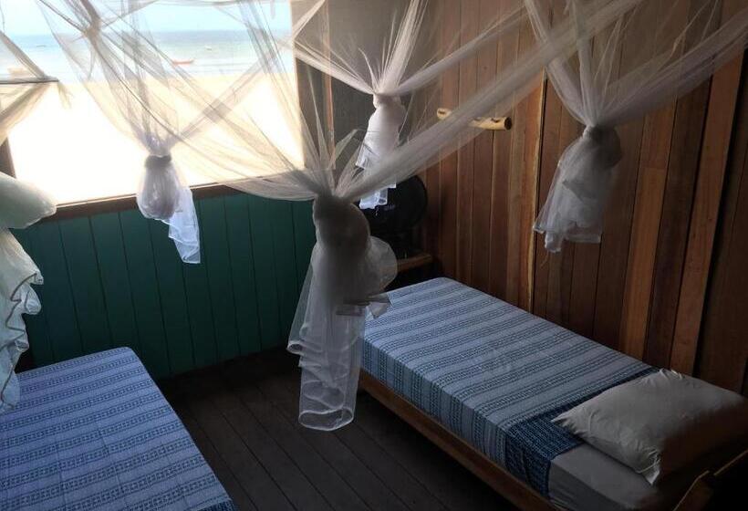 住宿加早餐  Casa Tartaruga