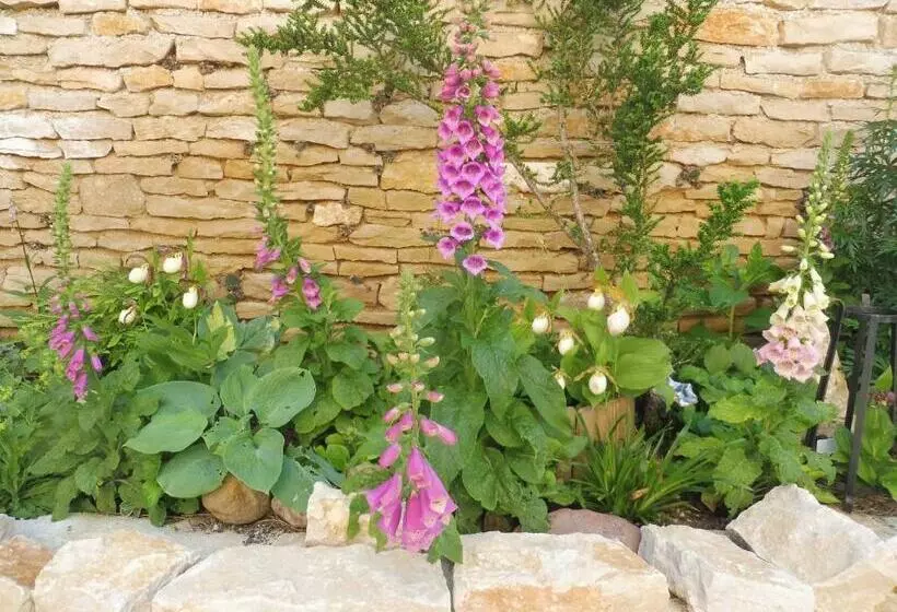 Aamiaismajoitus (B&B) Chambre D Hôtes Des 3 Ifs