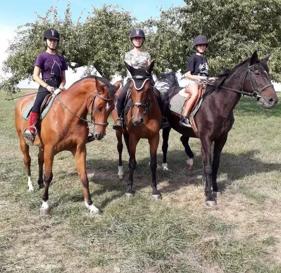 Aamiaismajoitus (B&B) Chambre D Hôtes Du Schneeberg