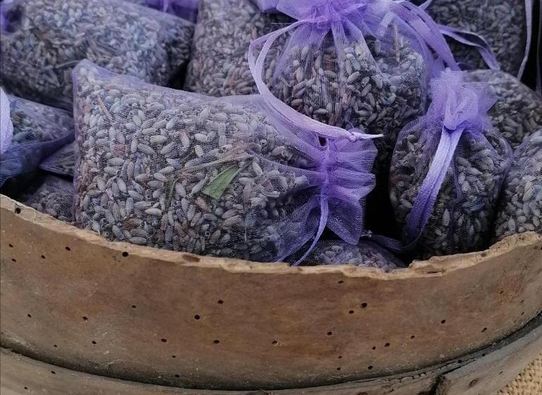 مبيت وإفطار Fattoria Branciana