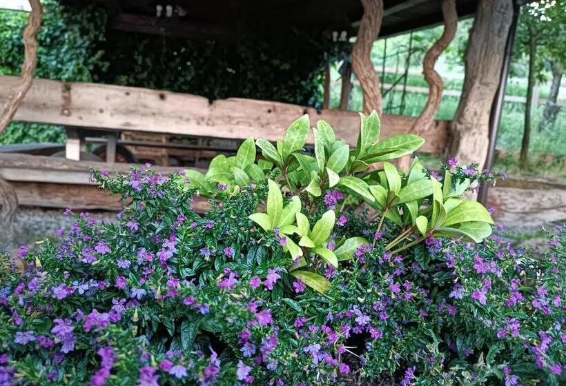 مبيت وإفطار Fattoria Branciana