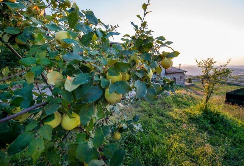 مبيت وإفطار Fattoria Branciana