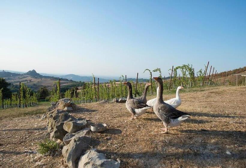 مبيت وإفطار Fattoria Branciana