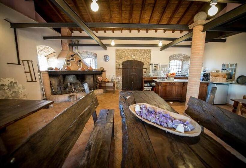 مبيت وإفطار Fattoria Branciana