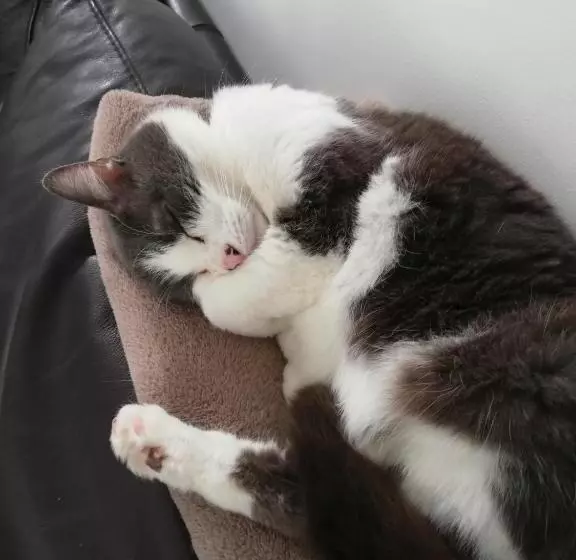 Aamiaismajoitus (B&B) La Ferme De Pham