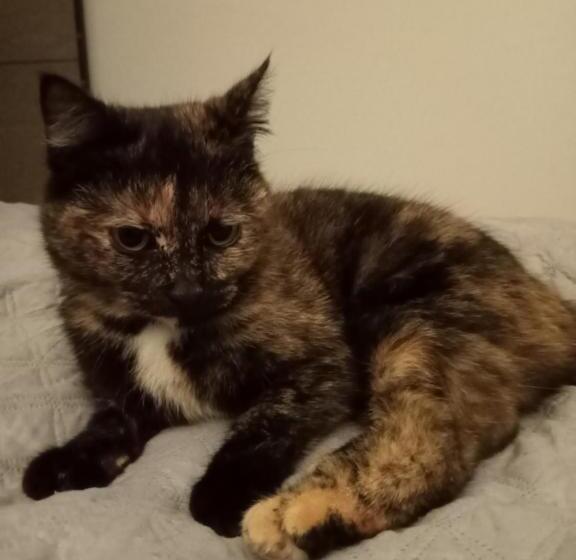 Bed and Breakfast La Ferme De Pham