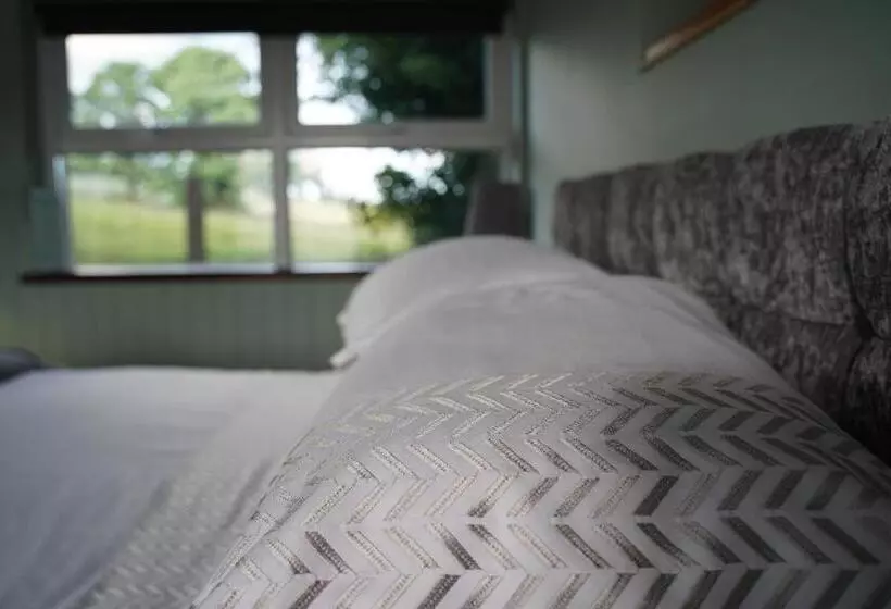 Bed and Breakfast Mountainview