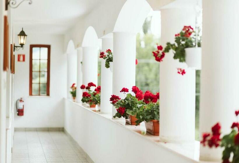 בית מלון כפרי Janka Villa