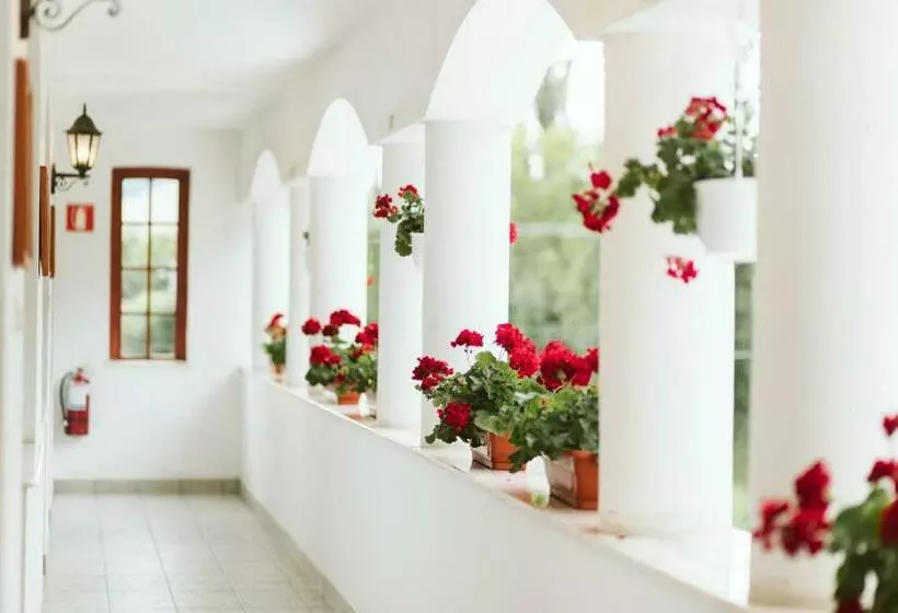 Hotelli Janka Villa