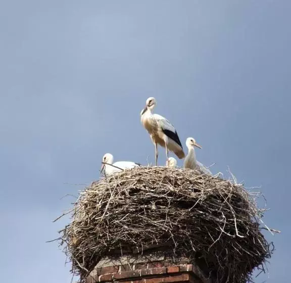 Hotelli Parkschlößchen