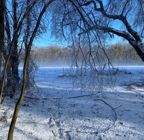 פנסיון Au Vieux Château