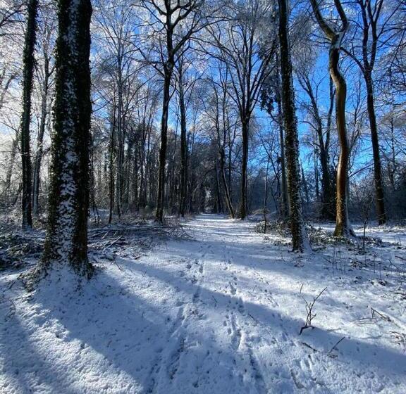 פנסיון Au Vieux Château