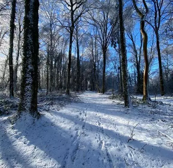 ペンション Au Vieux Château
