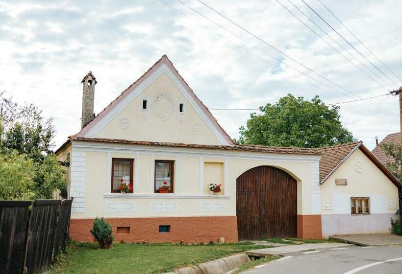 Пансион Casa Tradițională Transilvăneana