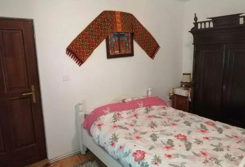 ペンション Casa Tradițională Transilvăneana