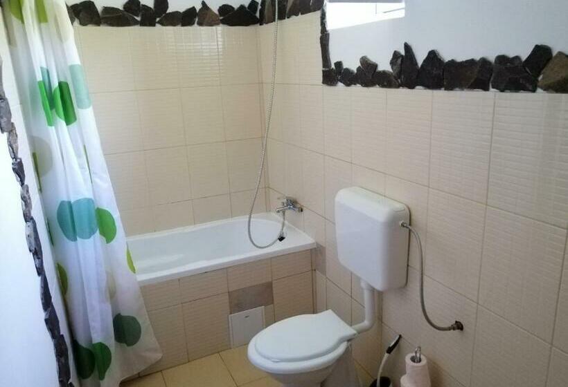 Пансион Casa Tradițională Transilvăneana