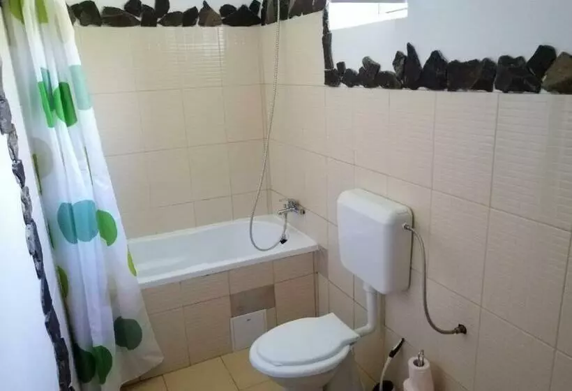 ペンション Casa Tradițională Transilvăneana