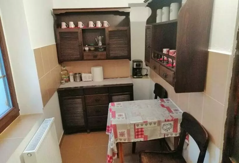 ペンション Casa Tradițională Transilvăneana
