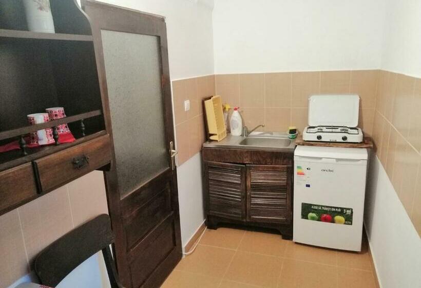 Пансион Casa Tradițională Transilvăneana