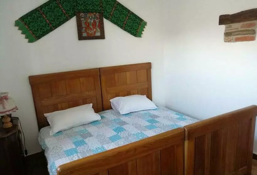 ペンション Casa Tradițională Transilvăneana